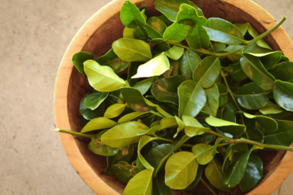 makrut lime leaf 17