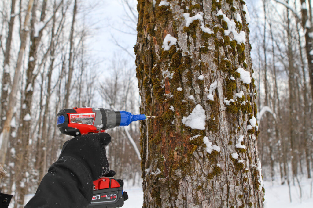 Sugaring in Vermont