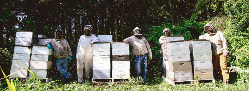Winter Family Apiaries