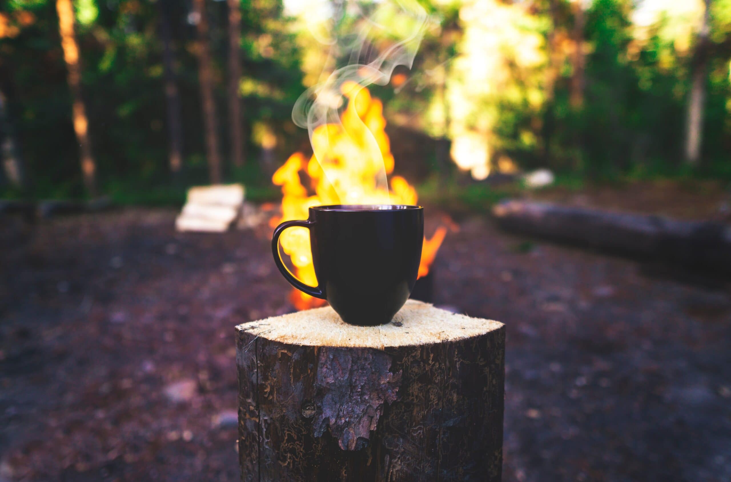 joshua woroniecki aoQhGskOGyU unsplash