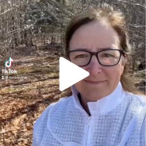 Runamok Bee Safari: Introduction 25