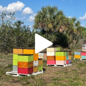 Runamok Bee Safari: Day One Recap 27