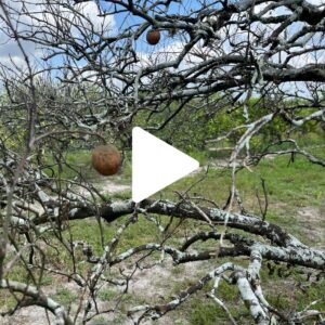 Runamok Bee Safari: Day Two Recap 28