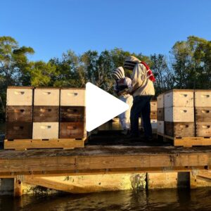 Runamok Bee Safari: Meet the Crew, Part Two 31