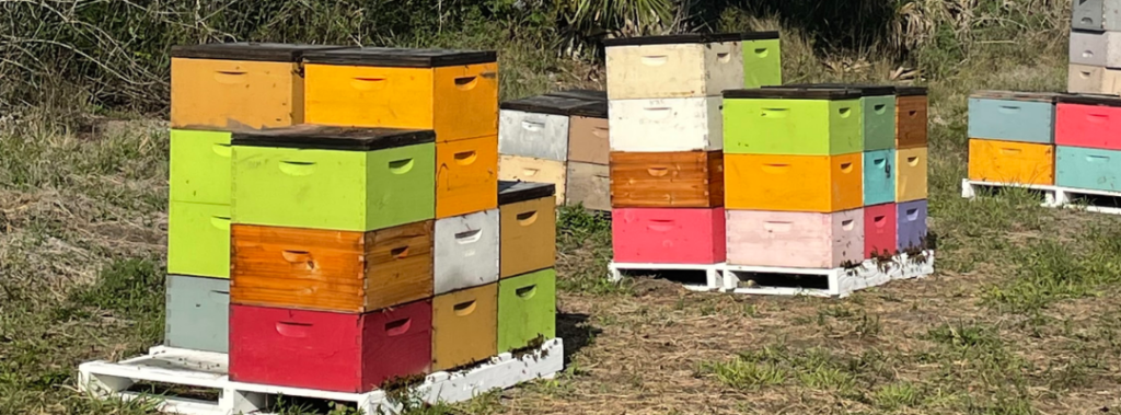 honey supers honey supers