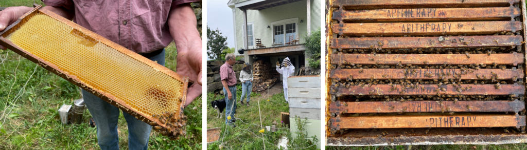 hive maintance photo grid