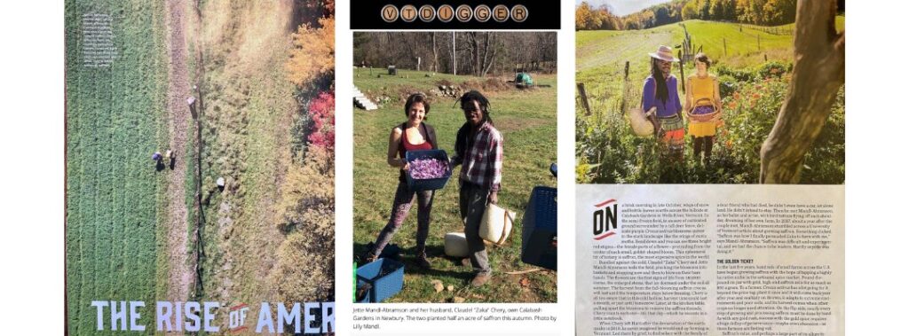 Calabash press pages