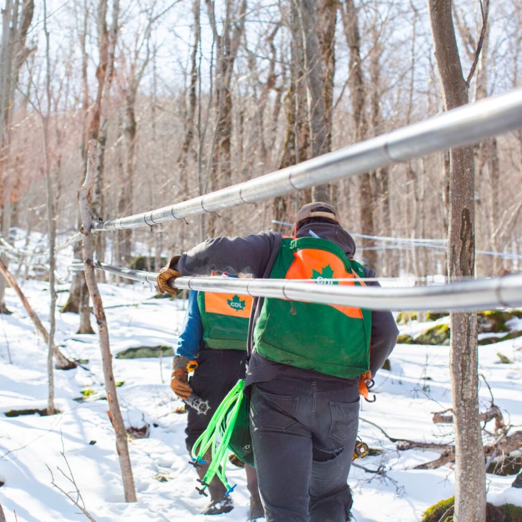 Sugaring Season 1: the crew checking sap lines in the woods
