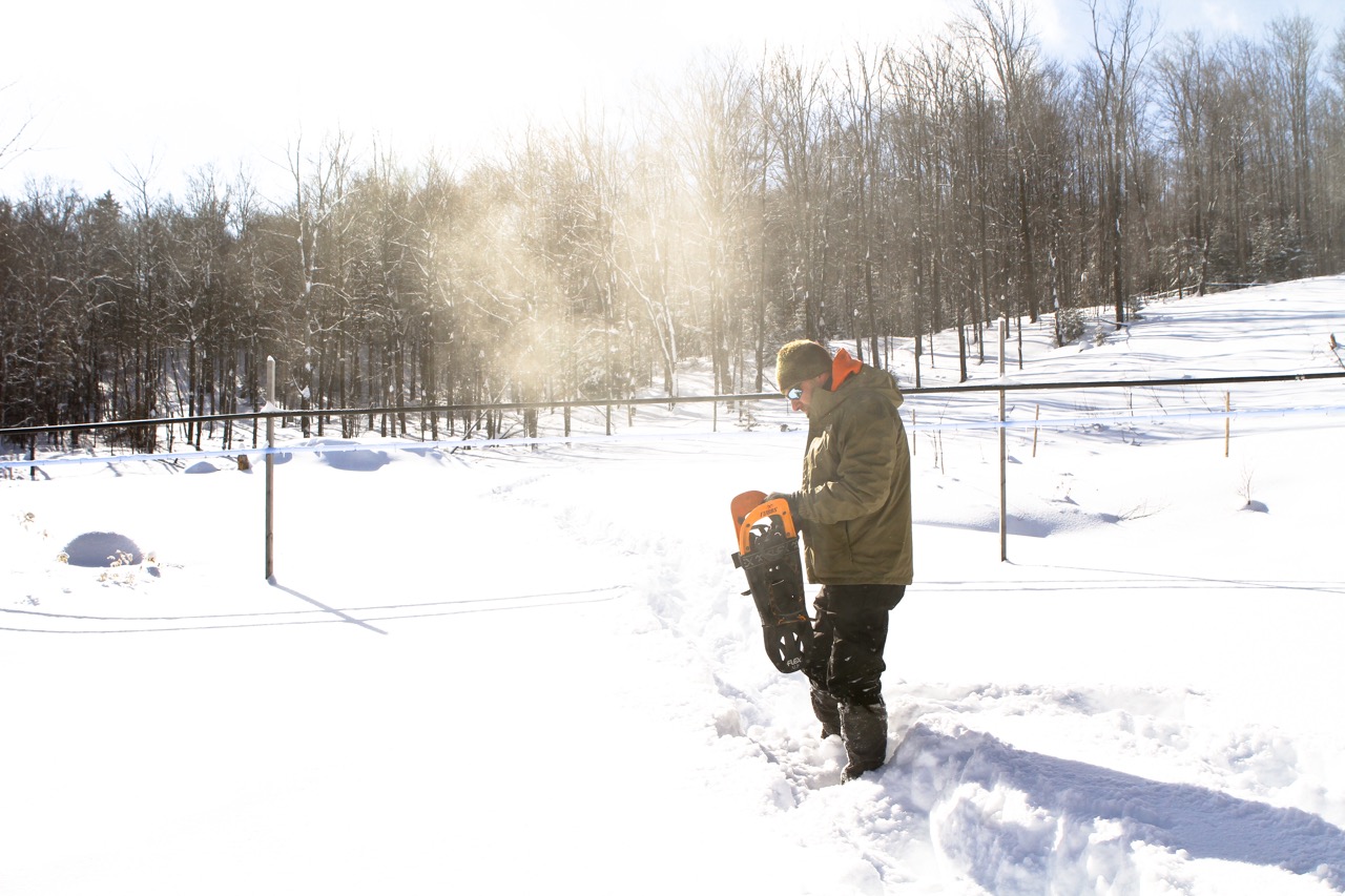 Sugaring Season