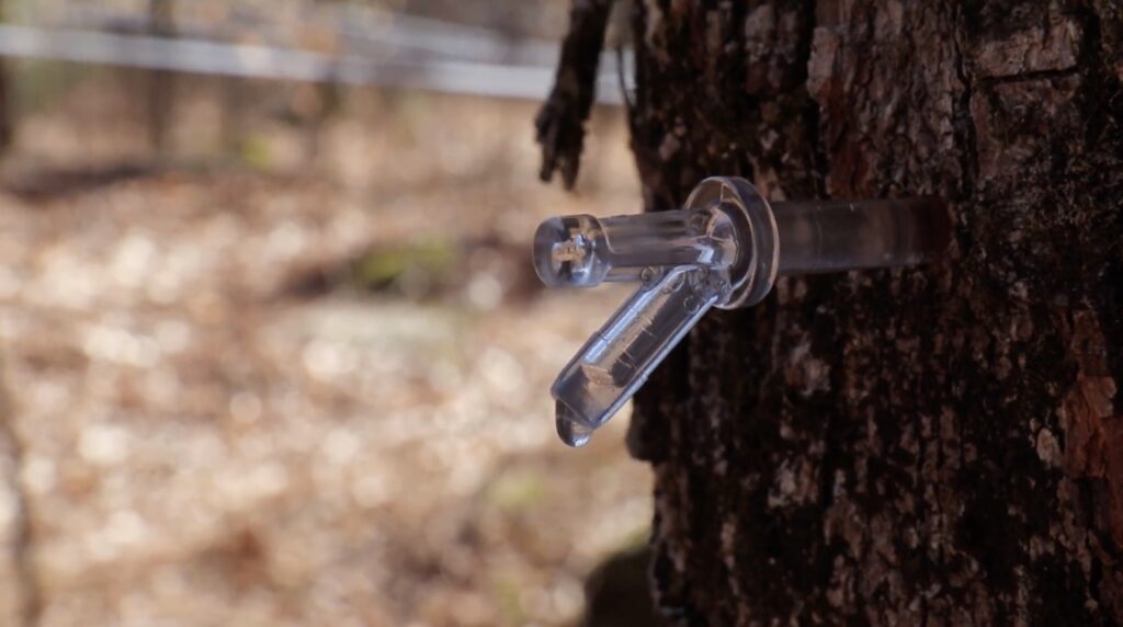 Tap dripping